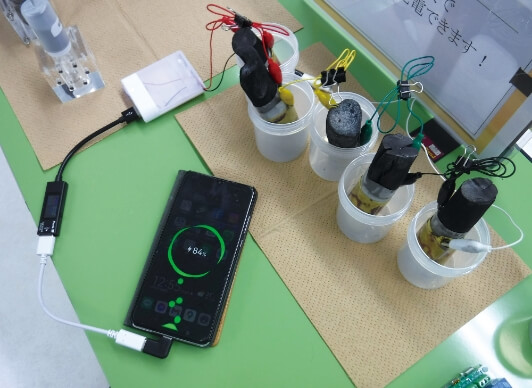 天然素材を利用した事前に優しい蓄電池